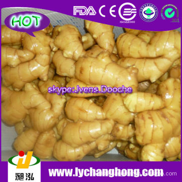 2014 High Quality New Crop Fresh Ginger For UK,CANADA,USA and EU Market